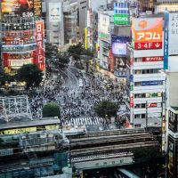 Décryptage du renouvellement de bail commercial